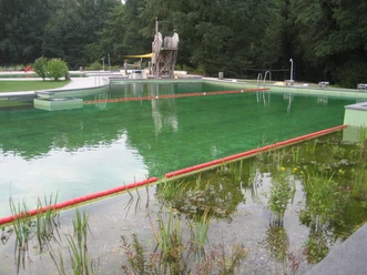 Waldschwimmbad mit grünlichem Wasser, umgeben von Bäumen; Holzrutsche und Eingrenzungen sichtbar.