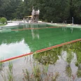 Waldschwimmbad mit grünlichem Wasser, umgeben von Bäumen; Holzrutsche und Eingrenzungen sichtbar.