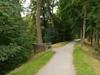 Ein schmaler, von grünen Bäumen gesäumter Weg auf einer historischen Wallanlage führt durch ein bewaldetes Gebiet.