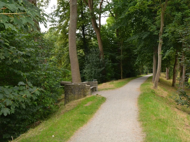 Wallanlage, Teil der alten Stadtbefestigung Ein schmaler, von grünen Bäumen gesäumter Weg auf einer historischen Wallanlage führt durch ein bewaldetes Gebiet.