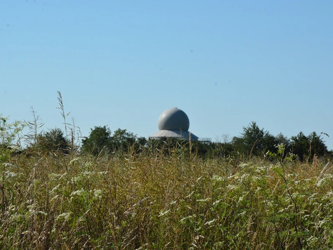 Radarstation Auenhausen: Eine moderne Kuppel hebt sich hinter einer Wiese mit Gräsern und Wildblumen ab.