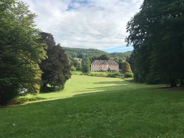 Schloss Rheder Schloss Rheder umgeben von weitläufigen Grünflächen und dichten Bäumen vor bewölktem Himmel.