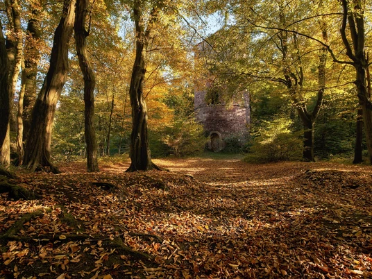 Ruine Bramburg im Naturpark Münden, bei Hemeln Ruine Bramburg im Naturpark Münden, bei HemelnBramburg ruins in the Münden Nature Park, near HemelnBramburg-ruinen i Münden Naturpark, nær HemelnBramburg ruïnes in het natuurpark Münden, bij Hemeln