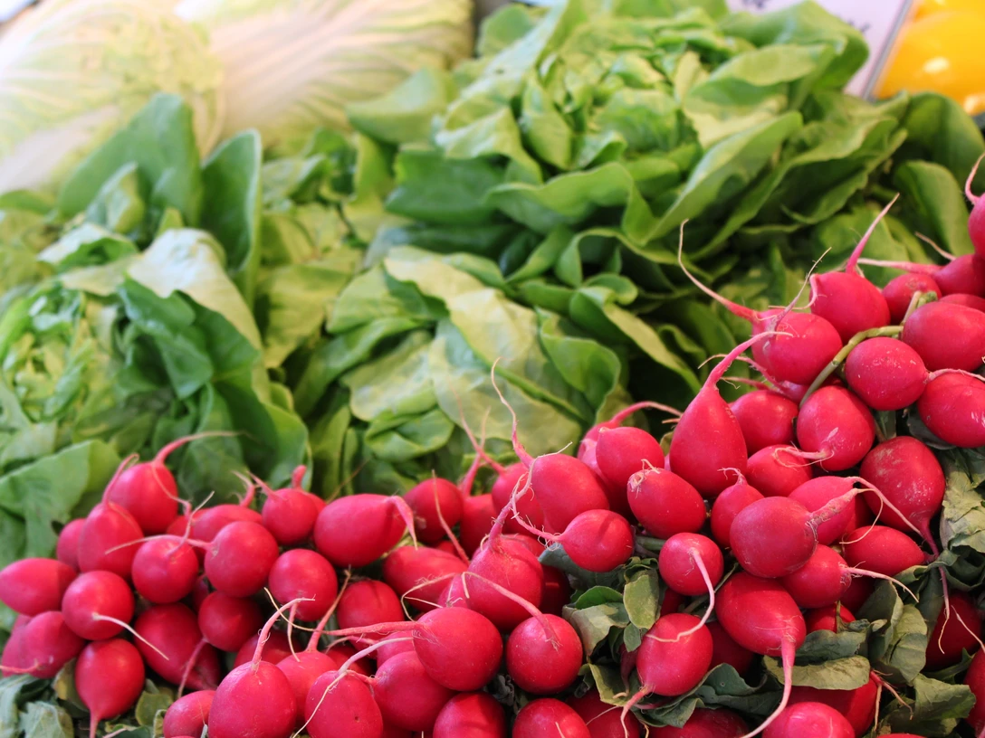 Obst und Gemüse Frisches Gemüse mit lebhaften roten Radieschen und grünen Salatblättern, einladend aufgestapelt.