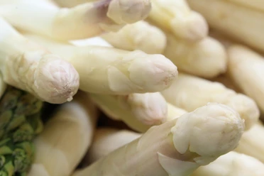 Frischer weißer Spargel in Nahaufnahme, mit zarten Spitzen und glatter, makelloser Textur.