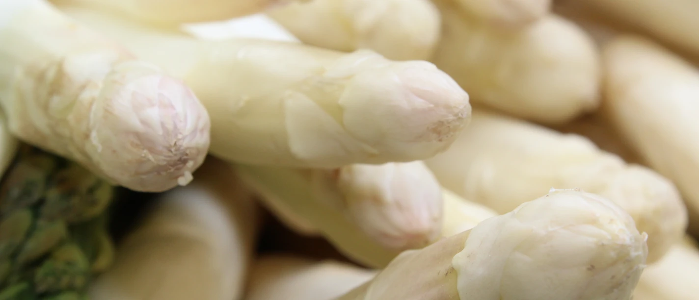 Frischer weißer Spargel in Nahaufnahme, mit zarten Spitzen und glatter, makelloser Textur.