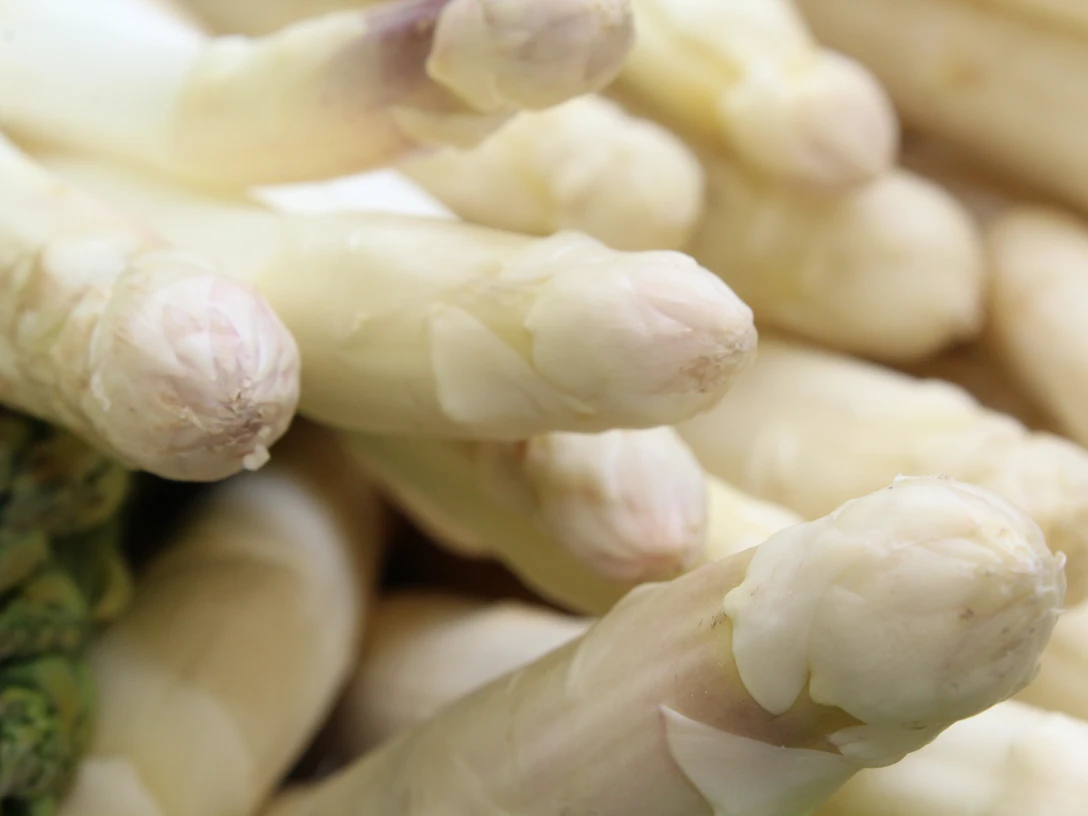 Spargelstangen Frischer weißer Spargel in Nahaufnahme, mit zarten Spitzen und glatter, makelloser Textur.