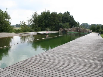 Ein Naturfreibad mit hölzernem Steg, umgeben von Bäumen, lädt zur Erholung und zum Eintauchen ein.