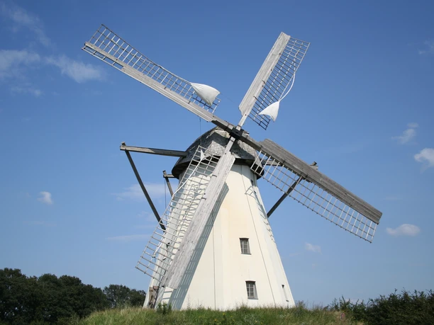 Windmühle Großenheerse Eine weiße Holländerwindmühle mit Holzflügeln erhebt sich majestätisch vor einem klaren blauen Himmel.