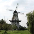 Windmühle in Lavelsloh mit markantem Flügelrad, umgeben von Bäumen und grüner Landschaft.