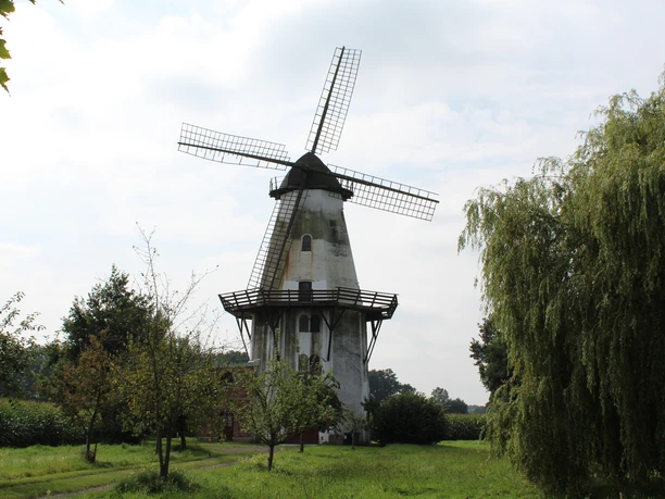 Windmühle in Lavelsloh mit markantem Flügelrad, umgeben von Bäumen und grüner Landschaft.