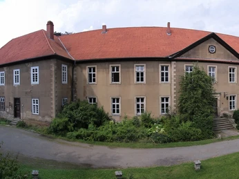 Glückliche Kälber auf der Sommerwiese Stitched PanoramaStitched PanoramaStitched PanoramaGestikt panorama