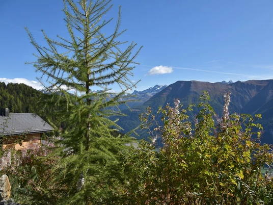 A02 Blick vom Sitzplatz