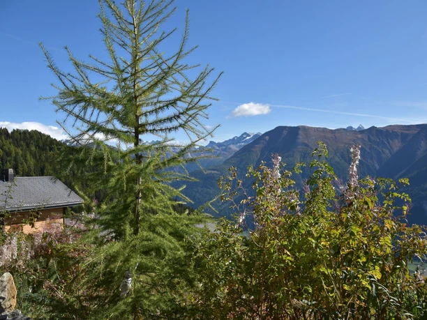 A02 Blick vom Sitzplatz