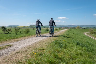 Fahrradfahrer auf dem Leinepolder leinepolder-radfahrer