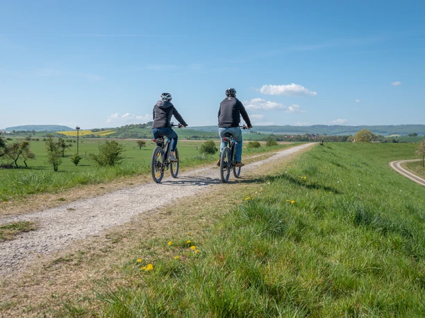 Fahrradfahrer auf dem Leinepolder leinepolder cyclist