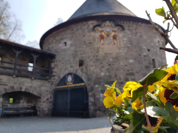 Frühling an der Rotunde (c) Wagner April 2019.jpg Frühling an der Rotunde, Hann. Münden