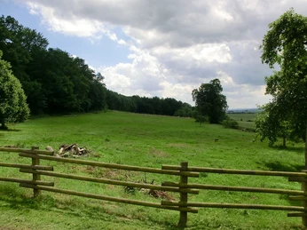 Außengelände der Waldschule Modexen Große grüne Wiese mit vereinzelten Bäumen, umgeben von einem Holzzaun, unter teils bewölktem Himmel.