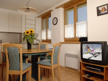 Wohnzimmer mit Küche