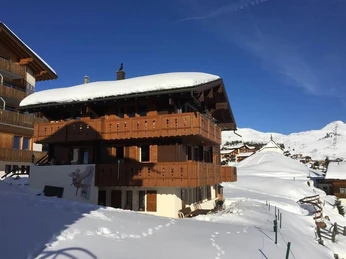 Aurora im Winterkleid