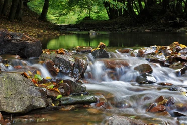 Beek in het natuurpark Münden