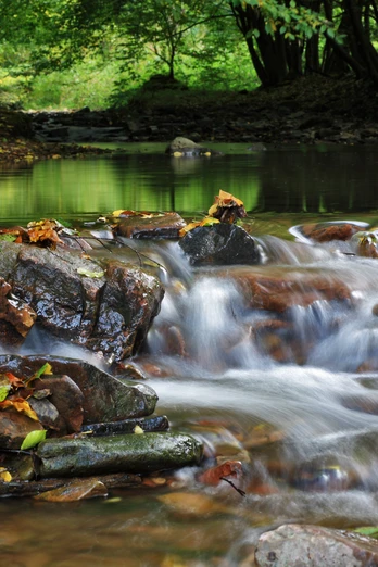 Bachlauf im Naturpark MündenStream in the Münden Nature ParkVandløb i Münden NaturparkBeek in het natuurpark Münden