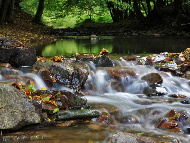Beek in het natuurpark Münden