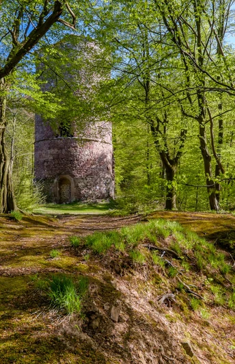 Bramburg bei Hemeln in der Erlebnisregion Hann. MündenBramburg castle near Hemeln in the Hann. Münden adventure regionBramburg slot nær Hemeln i eventyrregionen Hann. MündenKasteel Bramburg bij Hemeln in de belevenisregio Hann. Münden