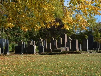 Reihen von Grabsteinen auf dem jüdischen Friedhof in Brakel, umgeben von herbstlich gefärbtem Laub.