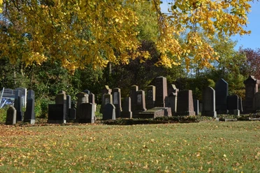 Jüdischer Friedhof in Brakel Reihen von Grabsteinen auf dem jüdischen Friedhof in Brakel, umgeben von herbstlich gefärbtem Laub.