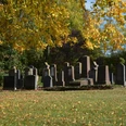 Jüdischer Friedhof in Brakel Reihen von Grabsteinen auf dem jüdischen Friedhof in Brakel, umgeben von herbstlich gefärbtem Laub.