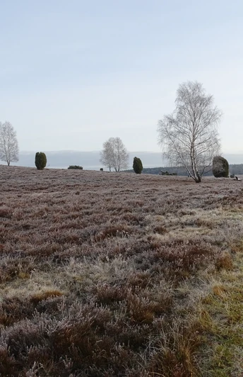 hoerpeler-heide-im-winter