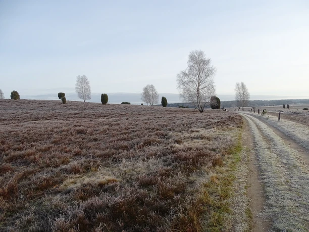 hoerpeler-heide-im-winter