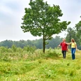 Zwei Personen spazieren auf einem grünen Naturpfad, umgeben von Bäumen und Wiesen.Two people are walking along a green nature trail, surrounded by trees and meadows.To personer går langs en grøn natursti, omgivet af træer og enge.Twee mensen lopen over een groen natuurpad, omringd door bomen en weilanden.
