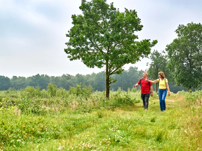 Zwei Personen spazieren auf einem grünen Naturpfad, umgeben von Bäumen und Wiesen.Two people are walking along a green nature trail, surrounded by trees and meadows.To personer går langs en grøn natursti, omgivet af træer og enge.Twee mensen lopen over een groen natuurpad, omringd door bomen en weilanden.