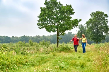 Wandern in Artland Zwei Personen spazieren auf einem grünen Naturpfad, umgeben von Bäumen und Wiesen.