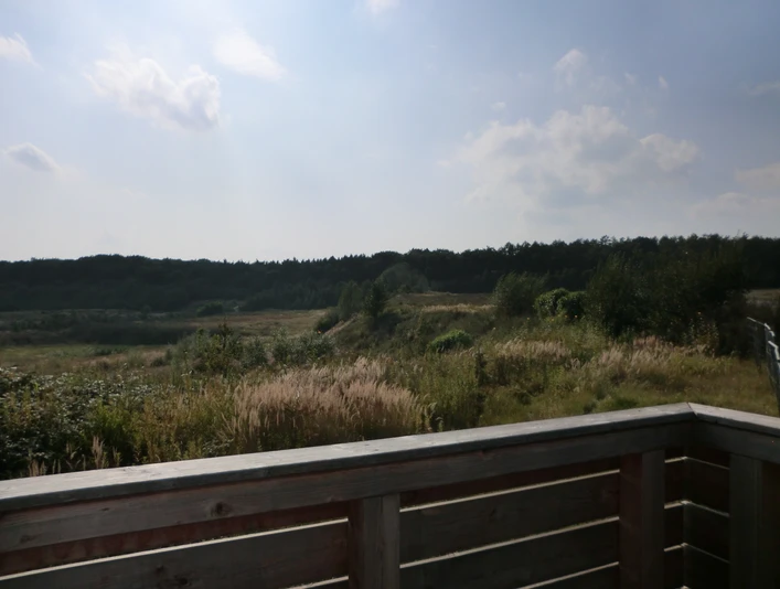 Schatzgrube Weißenberg Blick vom Aussichtsturm