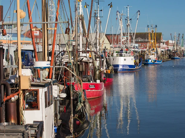 Der Alte Fischereihafen