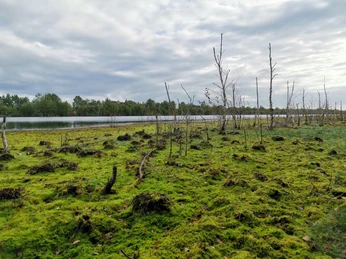 Preußische Moorversuche