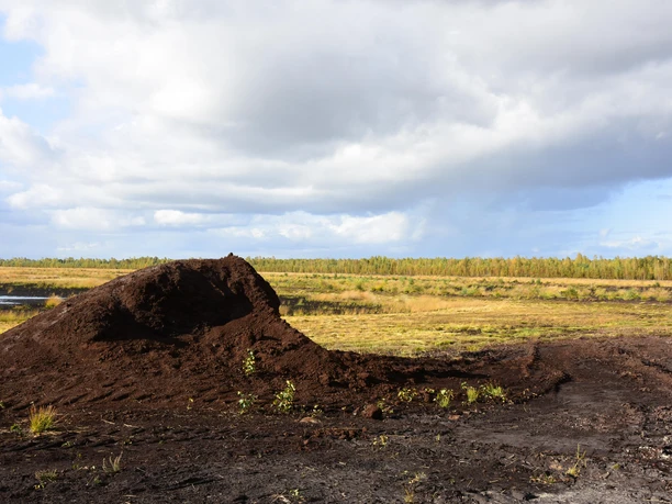 Preußische Moorversuche Aufgeschichteter Torfhügel in einer offenen Moorlandschaft mit Wasserflächen und weitem Himmel
