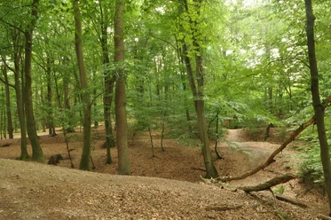 Monsilienburg