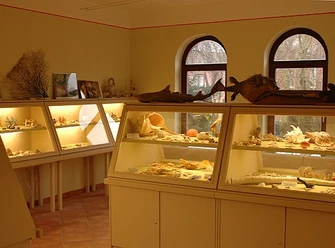 Die Ausstellung