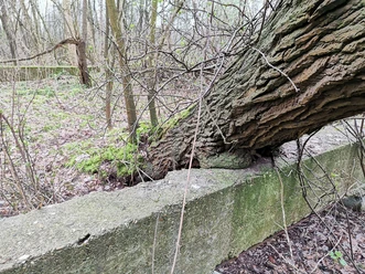 Kriegsruine