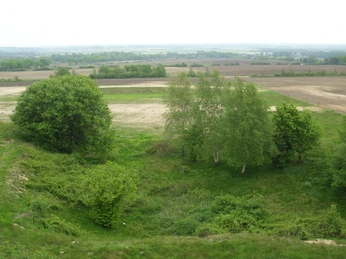 Das renaturierte Gelände