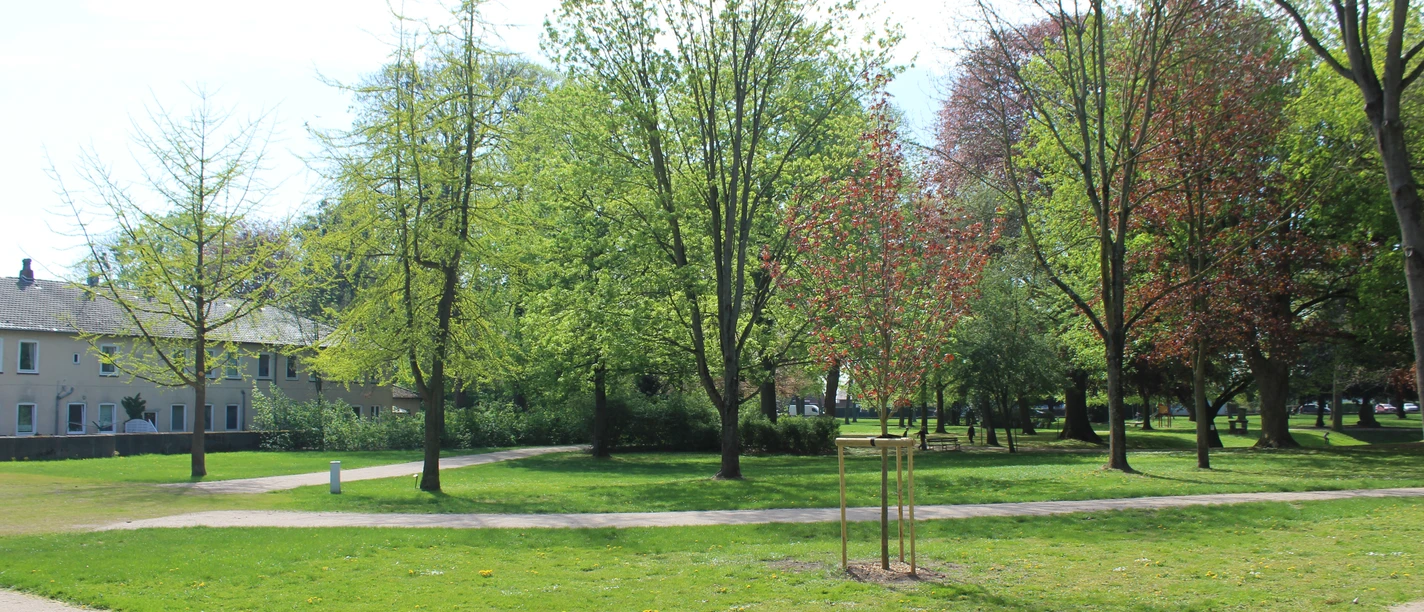 Grüne Parklandschaft mit gepflegtem Rasen und vielen Bäumen, umgeben von einem geschwungenen Weg.