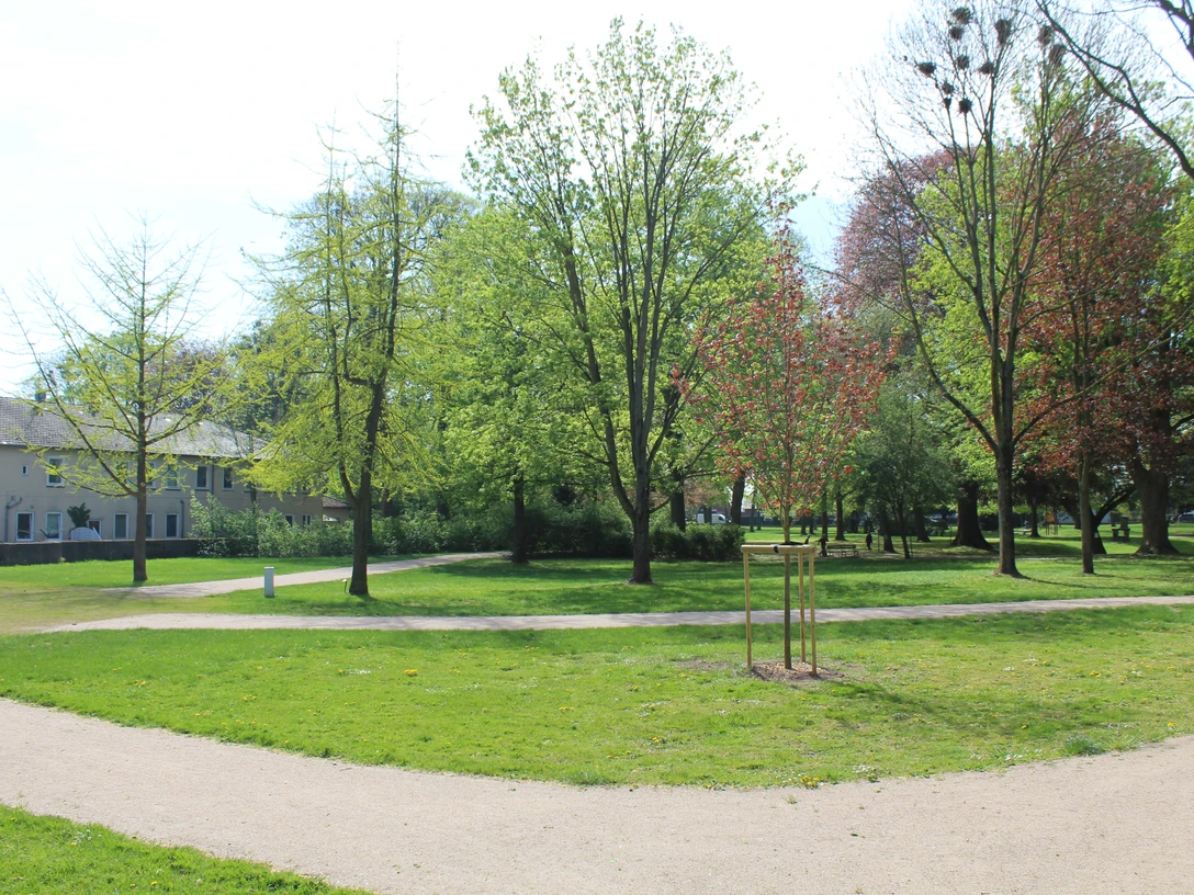 SG Grafschaft Hoya Bürgerpark Grüne Parklandschaft mit gepflegtem Rasen und vielen Bäumen, umgeben von einem geschwungenen Weg.