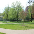 SG Grafschaft Hoya Bürgerpark Grüne Parklandschaft mit gepflegtem Rasen und vielen Bäumen, umgeben von einem geschwungenen Weg.