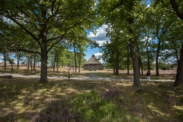 teich-niederhaverbeck
