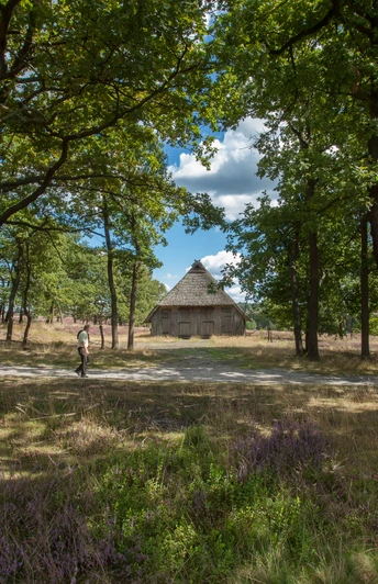 teich-niederhaverbeck