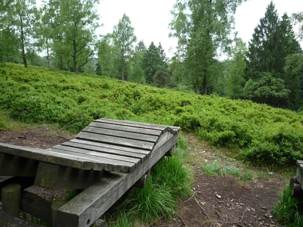 Landschaftsliegen bieten eine schöne Aussicht